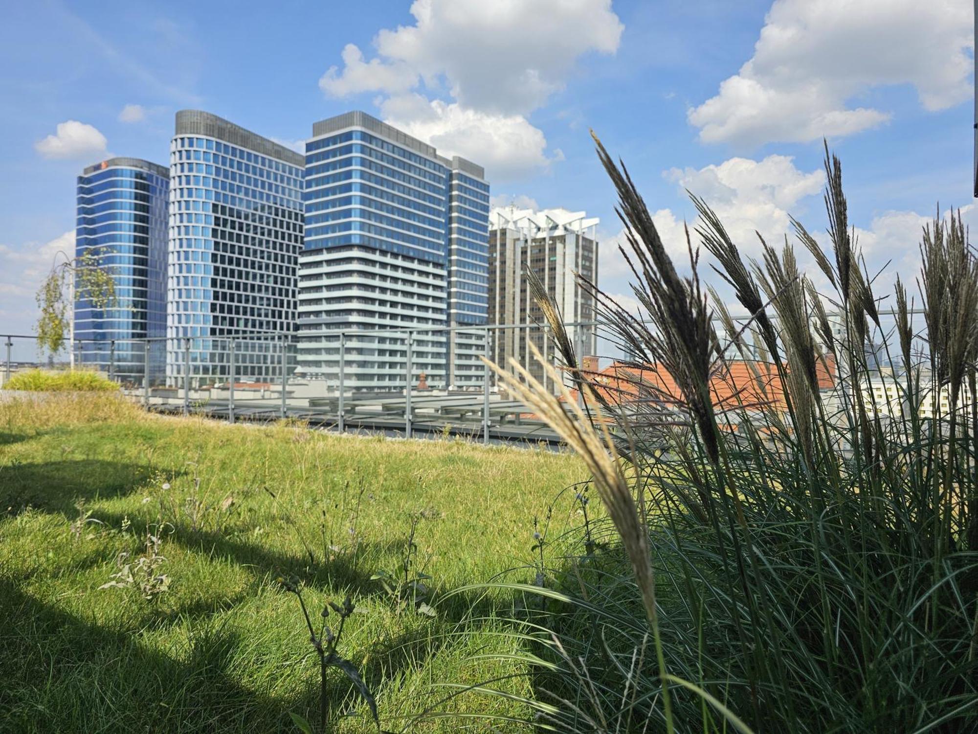 Urban Apartments Premium, Opolska 10 No 77A, Free Garage, Self Check-In Kattowitz Exterior foto